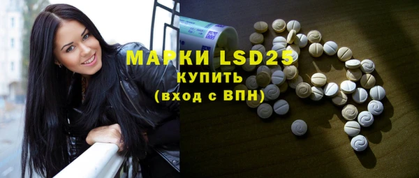шишки Новозыбков