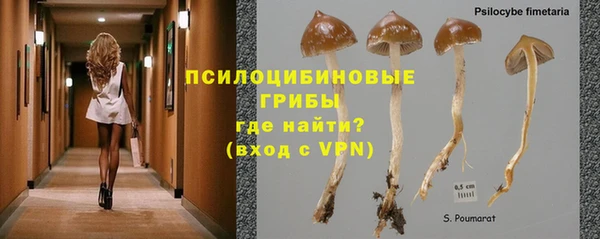 а пвп мука Нея