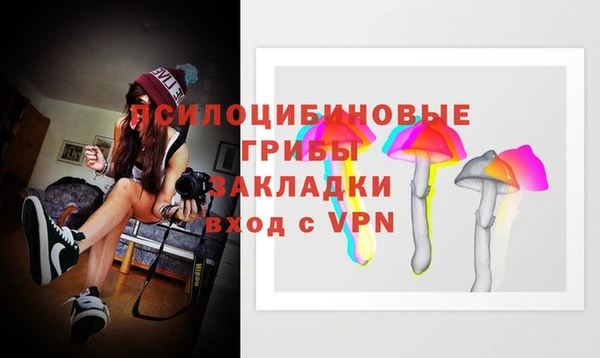 а пвп мука Нея