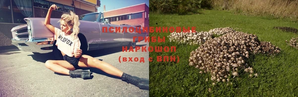 МДПВ Нефтегорск