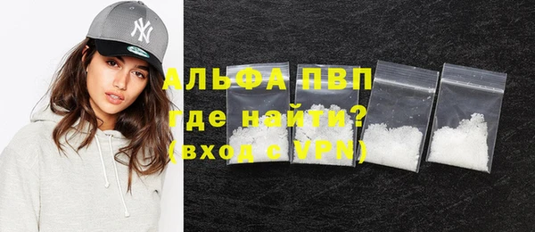 шишки Новозыбков