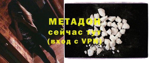 шишки Новозыбков
