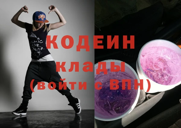 шишки Новозыбков