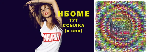 шишки Новозыбков